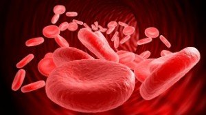 7 foods that increase red blood cells in the blood: which diet helps to increase their volume in the blood, and which diet lowers their number??