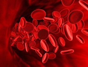 Diet with elevated hemoglobin — 8 prohibited foods and nutrition features for men and women with high blood levels