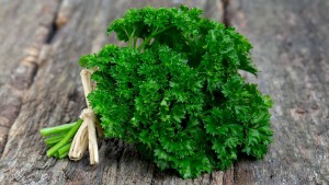 Parsley and hemoglobin — 3 facts about its effect on the cardiovascular system, as well as features of use during pregnancy