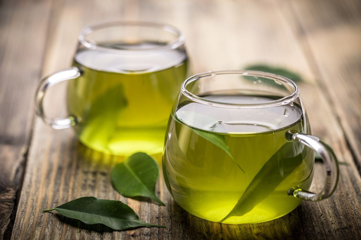 Green tea — 8 facts about the benefits and harm to the body of women and men, as well as contraindications