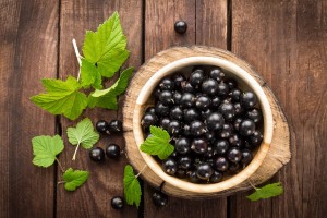 Does blackcurrant increase hemoglobin — 6 facts about the benefits for blood, methods of use and contraindications