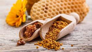 Propolis dilutes blood or thickens — 6 useful properties and possible contraindications