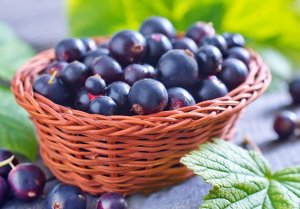 Currant dilutes blood or thickens — 5 facts, as well as useful recipes based on it