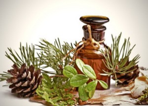 Infusion of pine cones for blood vessels — 4 recipes of decoctions and medicines based on vodka and alcohol for cleaning arteries, as well as the use of tree needles for atherosclerosis of the brain