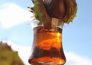 Chestnut tincture for blood vessels — 3 recipes, as well as a review of pharmacy medicines based on it: vitamins, extracts, drops and wraps