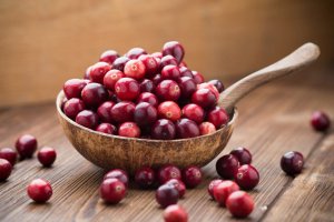 Cranberry vascular cleansing — 4 prescriptions of medicines for strengthening blood arteries and the brain based on it, combined with garlic, horseradish and honey