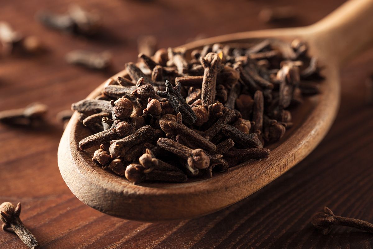 Cloves — 8 useful properties and contraindications for the body, as well as how to take the seasoning