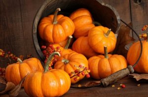 Cleansing blood vessels with pumpkin — 5 useful recipes for the treatment of atherosclerosis that get rid of plaques