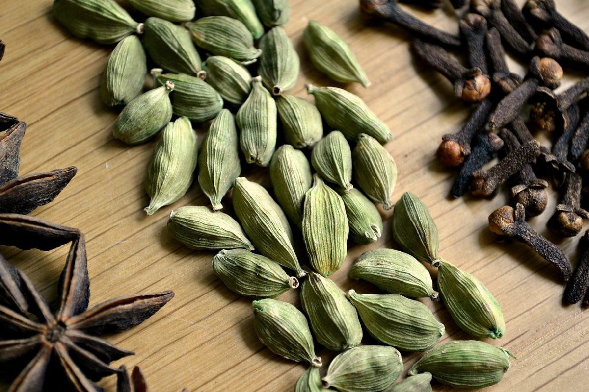 Cardamom — 8 useful properties and contraindications, the use of spices for medicinal purposes