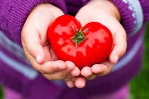 Are tomatoes good for the heart, blood vessels and blood: how do they affect the body, is it possible to eat and drink tomato juice after a heart attack and thrombosis??