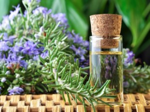 Rosemary to improve memory — 4 beneficial properties for the brain and blood vessels, how to use it correctly??