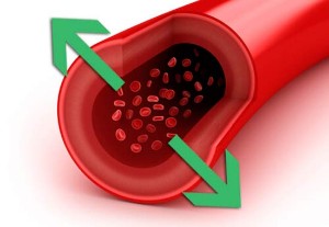 What can I drink to dilate blood vessels – 15 vasodilating drinks, which of them are effective in narrowing and spasm of the arteries of the brain??